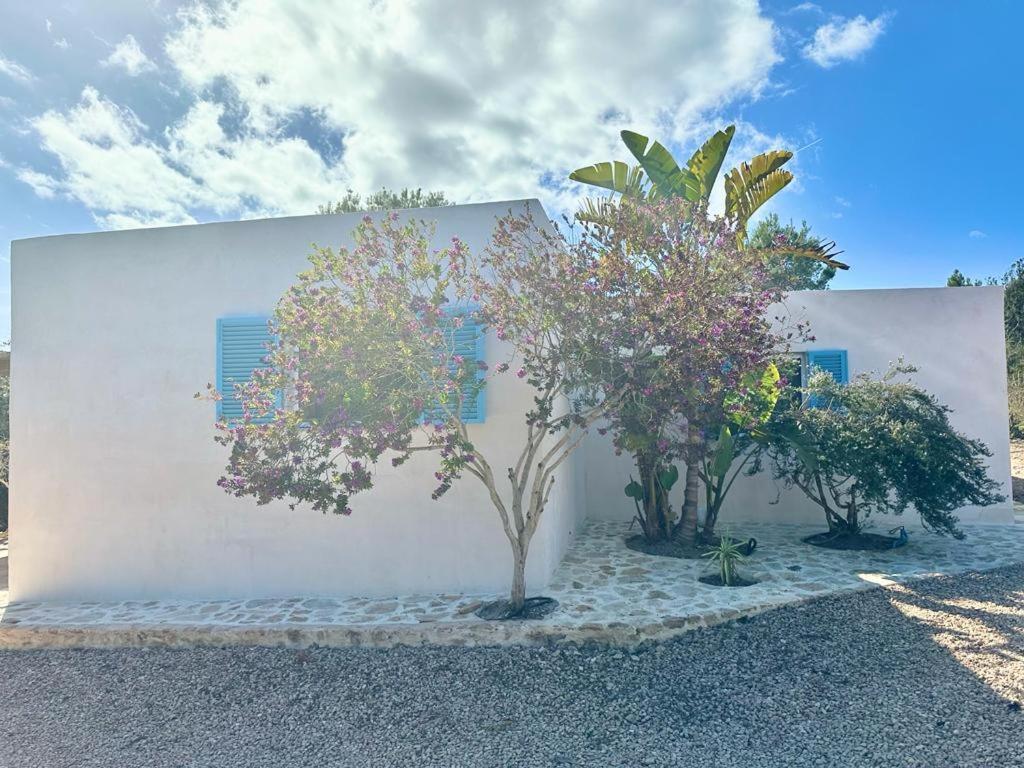 فيلا Casa Rustick San Francisco Javier المظهر الخارجي الصورة