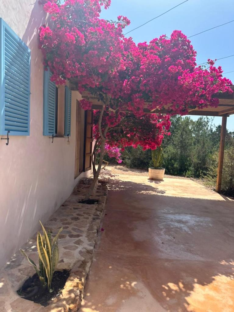 فيلا Casa Rustick San Francisco Javier المظهر الخارجي الصورة
